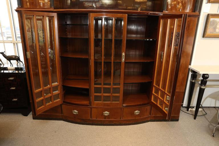 Hungarian Credenza/Bookcase in Palisander wood