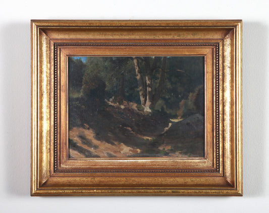 Hudson River School (America 19th century)